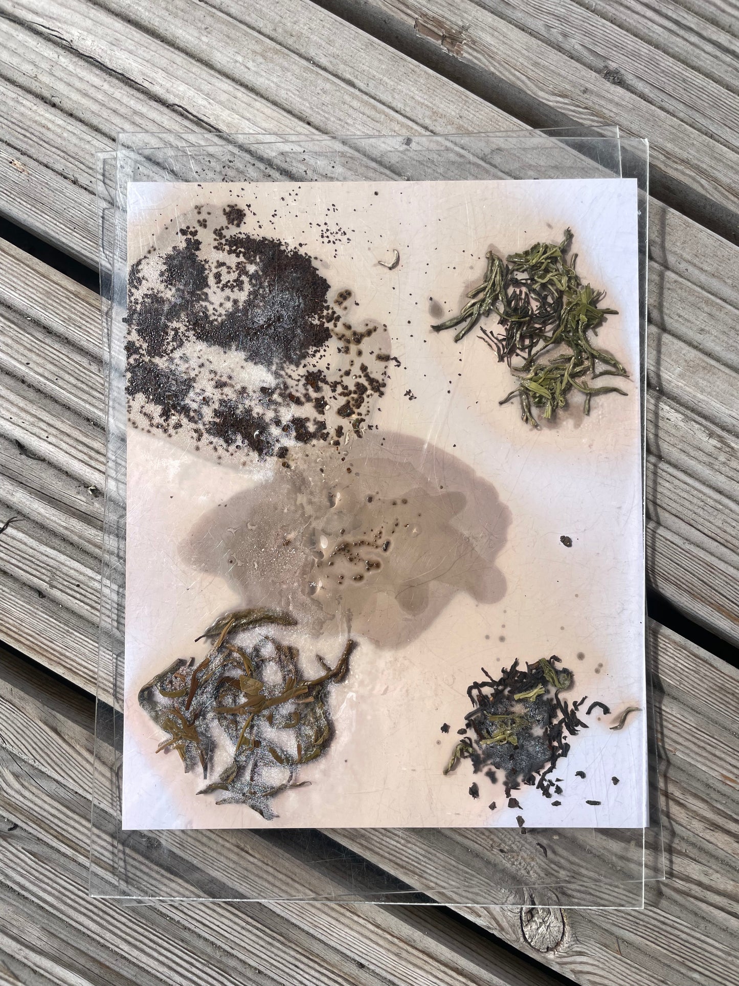 Tea Lumen Printing & Weaving Workshop in Hackney Wick, London