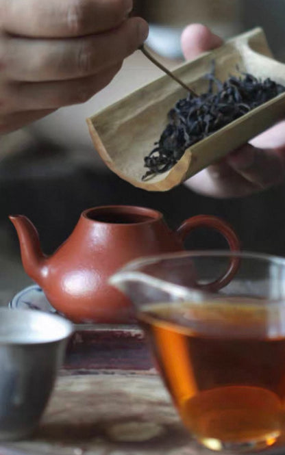 Gohobi Alishan Daping Thé noir à petites feuilles de haute montagne 阿里山大坪高山紅茶