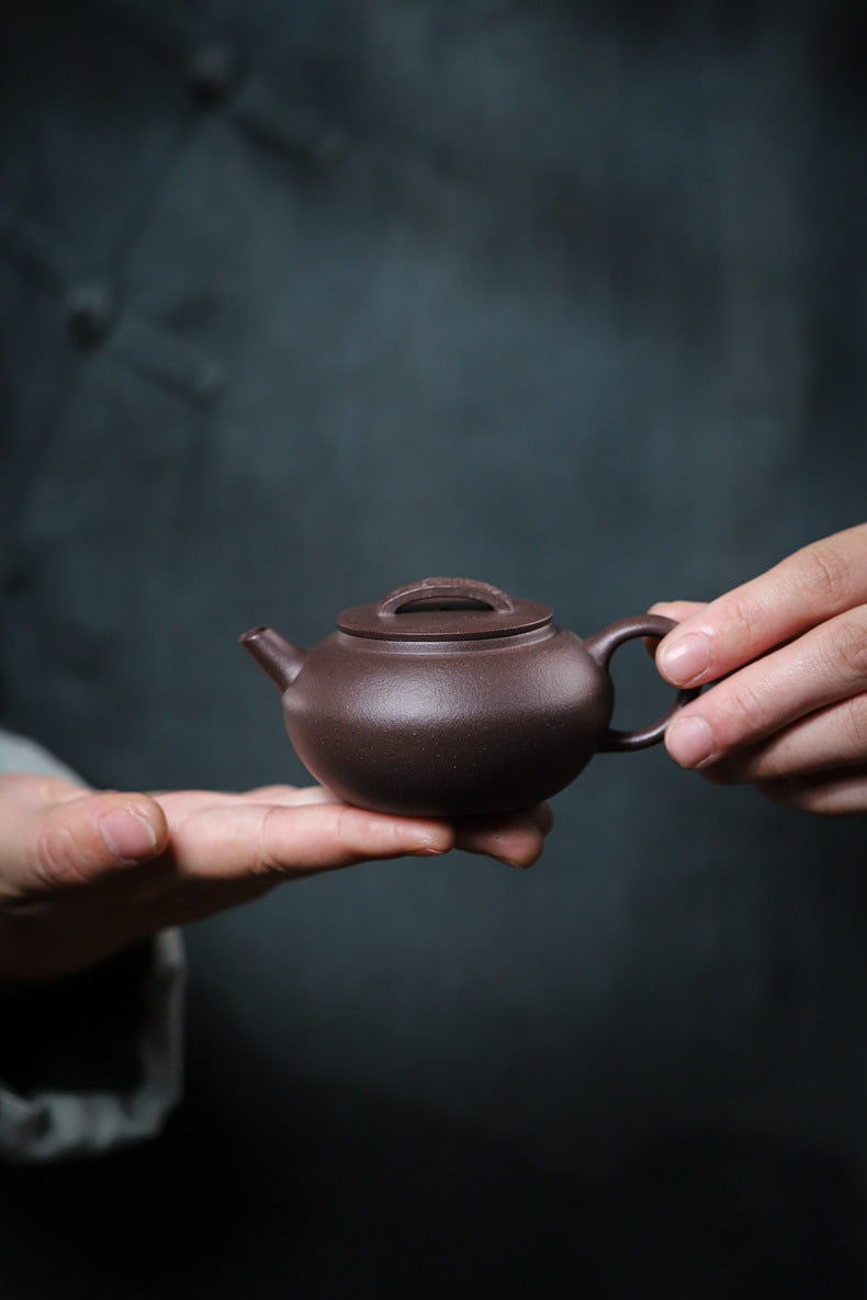 [Chingshui Tang 青水堂] Handmade Yixing Purple Zisha Clay Teapot – 120ml Original Ore Tianqing Clay Ruihu (Auspicious Tiger) Style Gongfu Teapot with Built-in Filter
