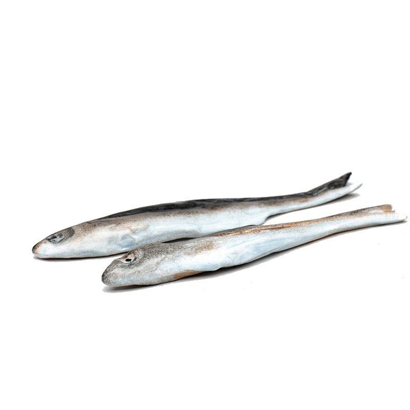 Gohobi Handmade Ceramic YiXing Clay Pacific Saury Fish Ornament Tea pet