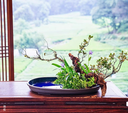 Gohobi Extra Large Oval Ikebana Bowl – Japanese Ceramic Flower Arrangement Vessel
