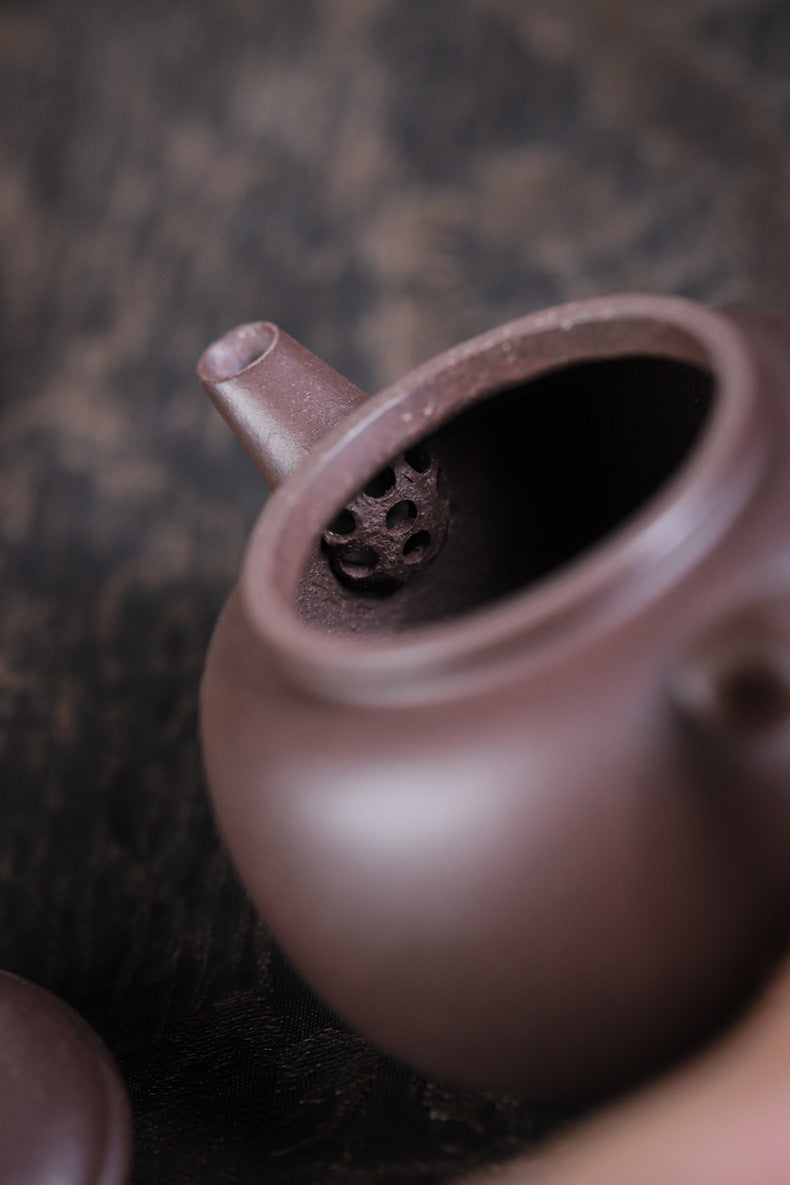 [Chingshui Tang 青水堂] Handmade Yixing Celadon Zisha Clay Teapot – 110ml Handmade Tianqing Paozun Shui Ping Teapot, Thin Body with Built-in Filter, Original Ore Purple Clay Teaware