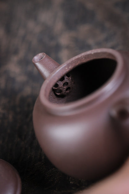[Chingshui Tang 青水堂] Handmade Yixing Celadon Zisha Clay Teapot – 110ml Handmade Tianqing Paozun Shui Ping Teapot, Thin Body with Built-in Filter, Original Ore Purple Clay Teaware