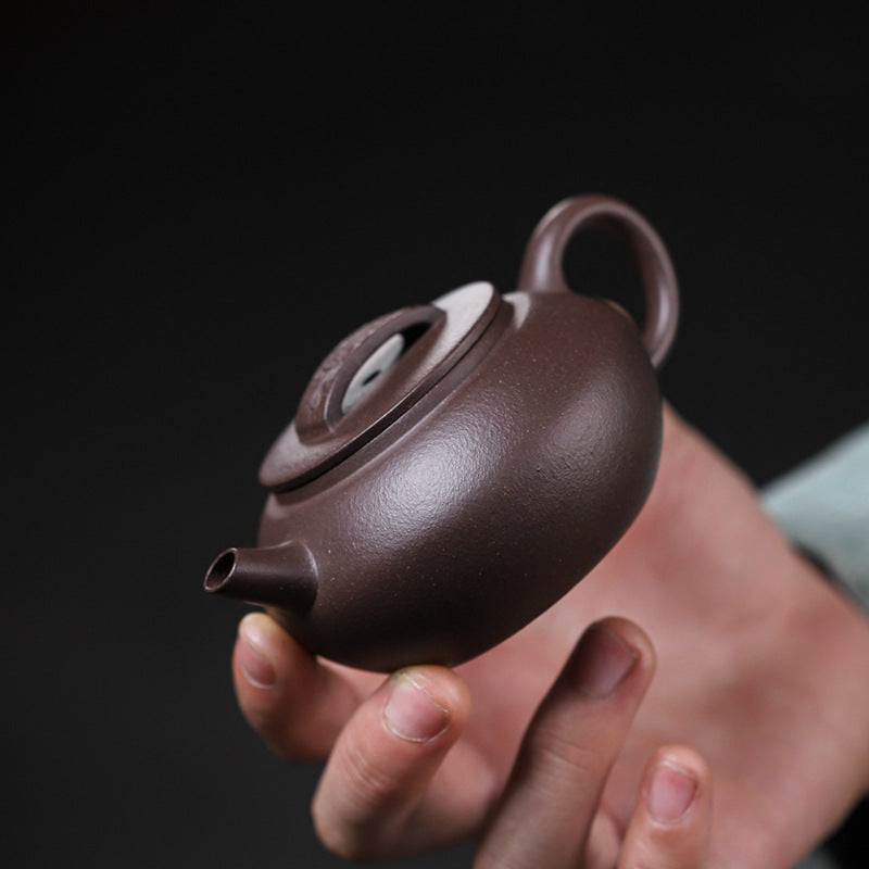 [Chingshui Tang 青水堂] Handmade Yixing Purple Zisha Clay Teapot – 120ml Original Ore Tianqing Clay Ruihu (Auspicious Tiger) Style Gongfu Teapot with Built-in Filter