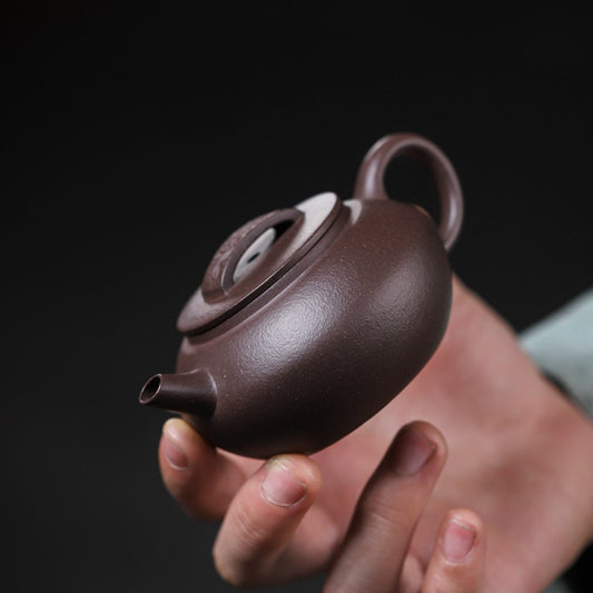 [Chingshui Tang 青水堂] Handmade Yixing Purple Zisha Clay Teapot – 120ml Original Ore Tianqing Clay Ruihu (Auspicious Tiger) Style Gongfu Teapot with Built-in Filter