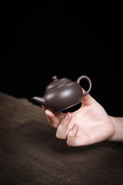 [Chingshui Tang 青水堂] Handmade Yixing Celadon Zisha Clay Shui Ping Teapot 100ml – Original Ore Tianqing Clay Thin-Walled Gongfu Tea Teapot with Built-In Filter