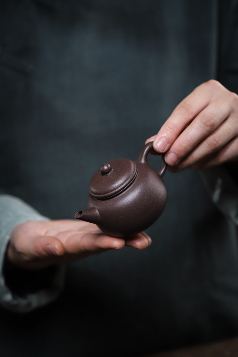 [Chingshui Tang 青水堂] Handmade Yixing Celadon Zisha Clay Teapot – 110ml Handmade Tianqing Paozun Shui Ping Teapot, Thin Body with Built-in Filter, Original Ore Purple Clay Teaware