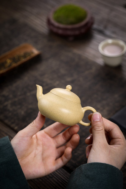 [Chingshui Tang 青水堂] Handmade Yixing Green Zisha Clay Junde Teapot – 110ml “Ben Lü” Clay Gongfu Teapot with Inner Push Hole, Thin-Walled Design for Chaozhou Brewing