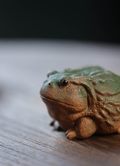 Gohobi Handmade Ceramic YiXing Clay Toad Ornament Tea pet