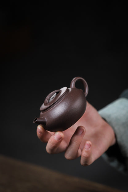 [Chingshui Tang 青水堂] Handmade Yixing Purple Zisha Clay Teapot – 120ml Original Ore Tianqing Clay Ruihu (Auspicious Tiger) Style Gongfu Teapot with Built-in Filter