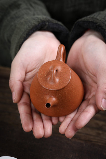 [Chingshui Tang 青水堂] Handmade Yixing Zisha Sandy Purple Clay Teapot 150ml – Original Ore Golden Jiangpo Clay Gaoshi Piao Teapot, Lightweight Body for Gongfu Tea Brewing