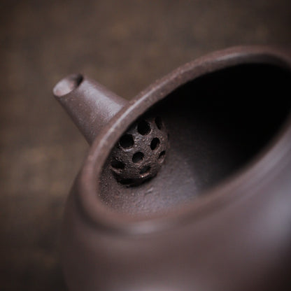 [Chingshui Tang 青水堂] Handmade Yixing Celadon Zisha Clay Shui Ping Teapot 100ml – Original Ore Tianqing Clay Thin-Walled Gongfu Tea Teapot with Built-In Filter