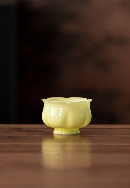 Gohobi Qinghuan Five-Colour Ceramic Teacup Gift Set