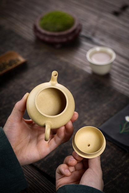 [Chingshui Tang 青水堂] Handmade Yixing Green Zisha Clay Junde Teapot – 110ml “Ben Lü” Clay Gongfu Teapot with Inner Push Hole, Thin-Walled Design for Chaozhou Brewing