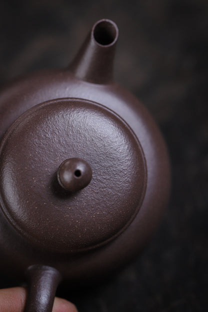 [Chingshui Tang 青水堂] Handmade Yixing Celadon Zisha Clay Teapot – 110ml Handmade Tianqing Paozun Shui Ping Teapot, Thin Body with Built-in Filter, Original Ore Purple Clay Teaware