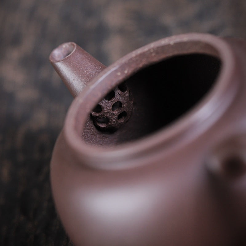 [Chingshui Tang 青水堂] Handmade Yixing Celadon Zisha Clay Teapot – 110ml Handmade Tianqing Paozun Shui Ping Teapot, Thin Body with Built-in Filter, Original Ore Purple Clay Teaware