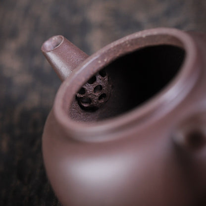 [Chingshui Tang 青水堂] Handmade Yixing Celadon Zisha Clay Teapot – 110ml Handmade Tianqing Paozun Shui Ping Teapot, Thin Body with Built-in Filter, Original Ore Purple Clay Teaware