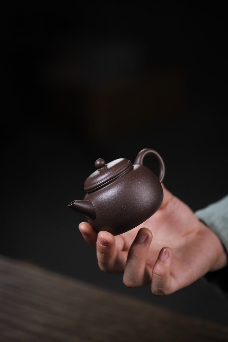 [Chingshui Tang 青水堂] Handmade Yixing Celadon Zisha Clay Teapot – 110ml Handmade Tianqing Paozun Shui Ping Teapot, Thin Body with Built-in Filter, Original Ore Purple Clay Teaware