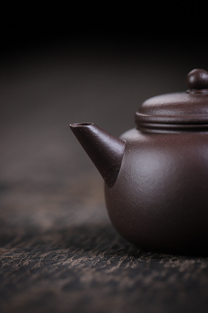 [Chingshui Tang 青水堂] Handmade Yixing Celadon Zisha Clay Teapot – 110ml Handmade Tianqing Paozun Shui Ping Teapot, Thin Body with Built-in Filter, Original Ore Purple Clay Teaware