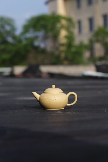 [Chingshui Tang 青水堂] Handmade Yixing Green Zisha Clay Xiaoping Teapot – 100ml Original Ore Benlu Caly with Inner Filter, Semi-Handmade Thin-Walled Gongfu Teapot
