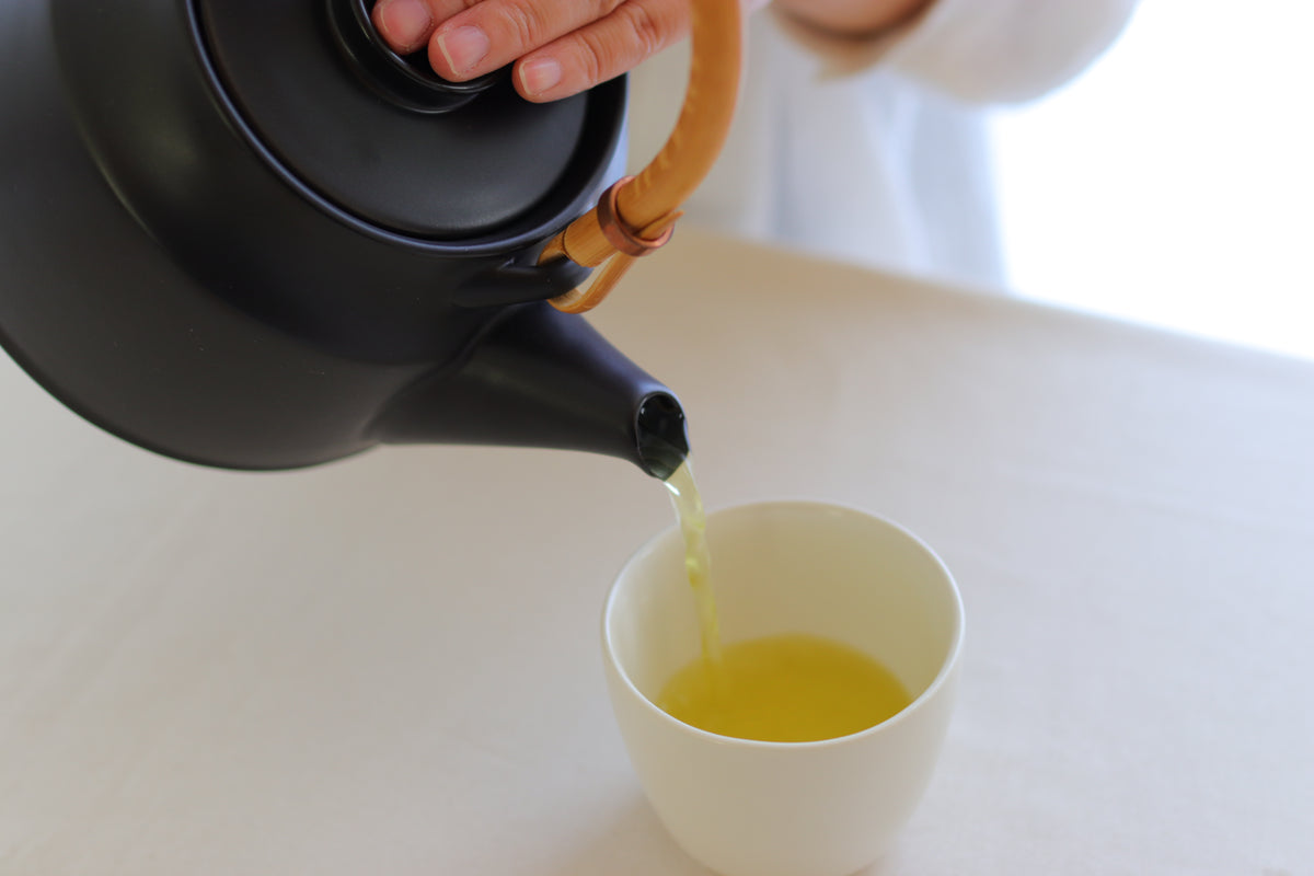 TK Earthenware Teapot (S) - Ceramic Japan [Made in Japan]