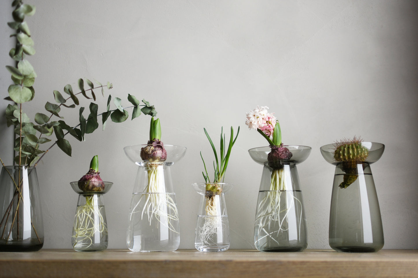 Gohobi x Kinto AQUA CULTURE VASE