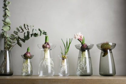 Gohobi x Kinto AQUA CULTURE VASE