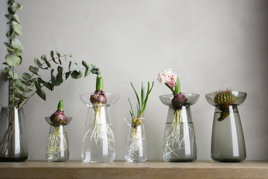 Gohobi x Kinto AQUA CULTURE VASE