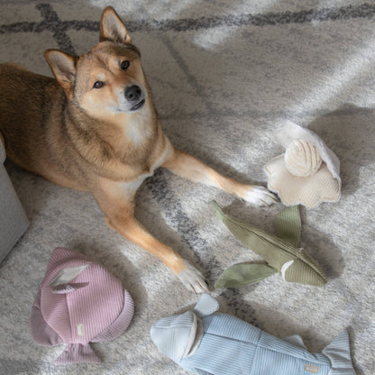 ANGEL FISH//ENRICHMENT DOG TOY