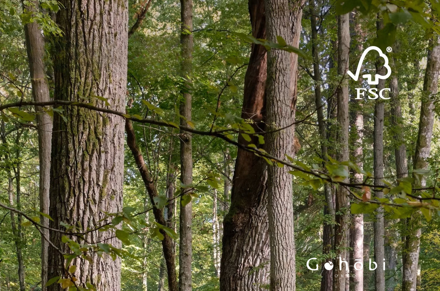 Gohobi Solid Wood Screen Coat Rack – Red Oak or Black Walnut Folding Hanger with Three or Four Panel Options | FSC Certified Furniture