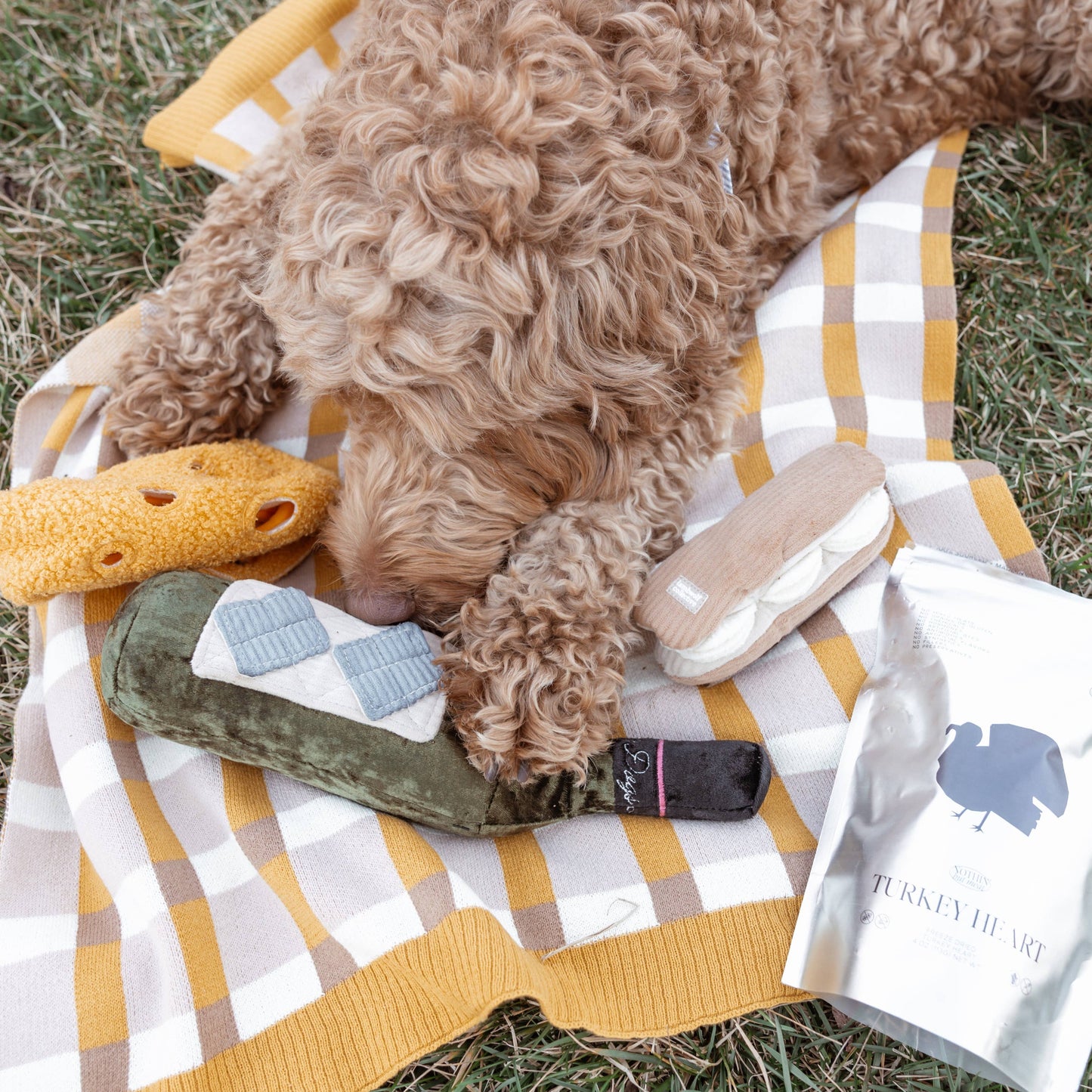 Gohobi x Lambwolf MERLOT//ENRICHMENT DOG TOY