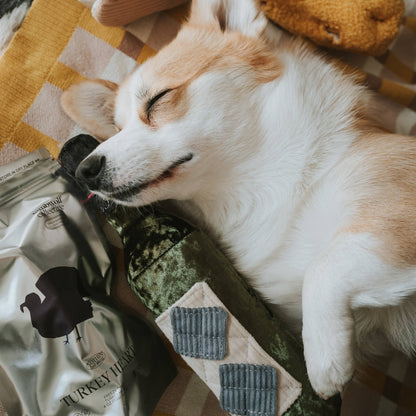 Gohobi x Lambwolf MERLOT//ENRICHMENT DOG TOY