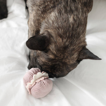 Gohobi x Lambwolf PETITE TWO/ENRICHMENT DOG TOY