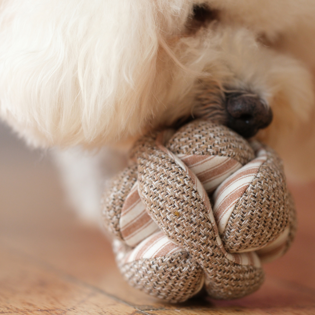 Lambwolf // MINI MONTI - ENRICHMENT DOG TOY