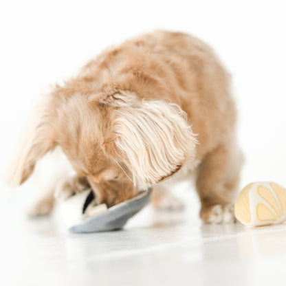 HereThe GILLARDEAU//ENRICHMENT DOG TOY