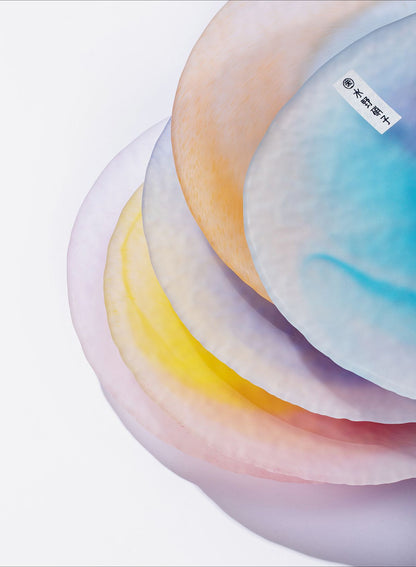 [Made In Japan] Gohobi Japanese Colourful Monet Plate