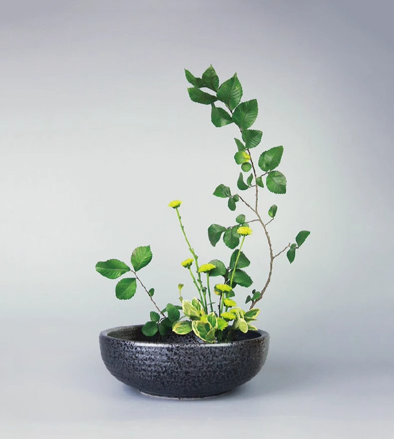 Gohobi Large Japanese Style Ikebana Vase 003