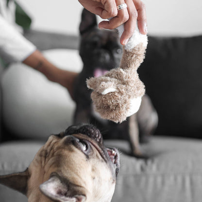 Gohobi x Lambwolf FOX POP