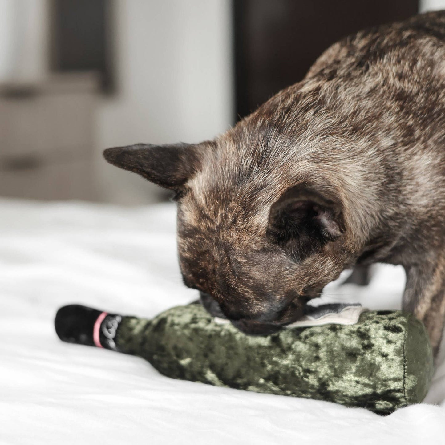 Gohobi x Lambwolf MERLOT//ENRICHMENT DOG TOY