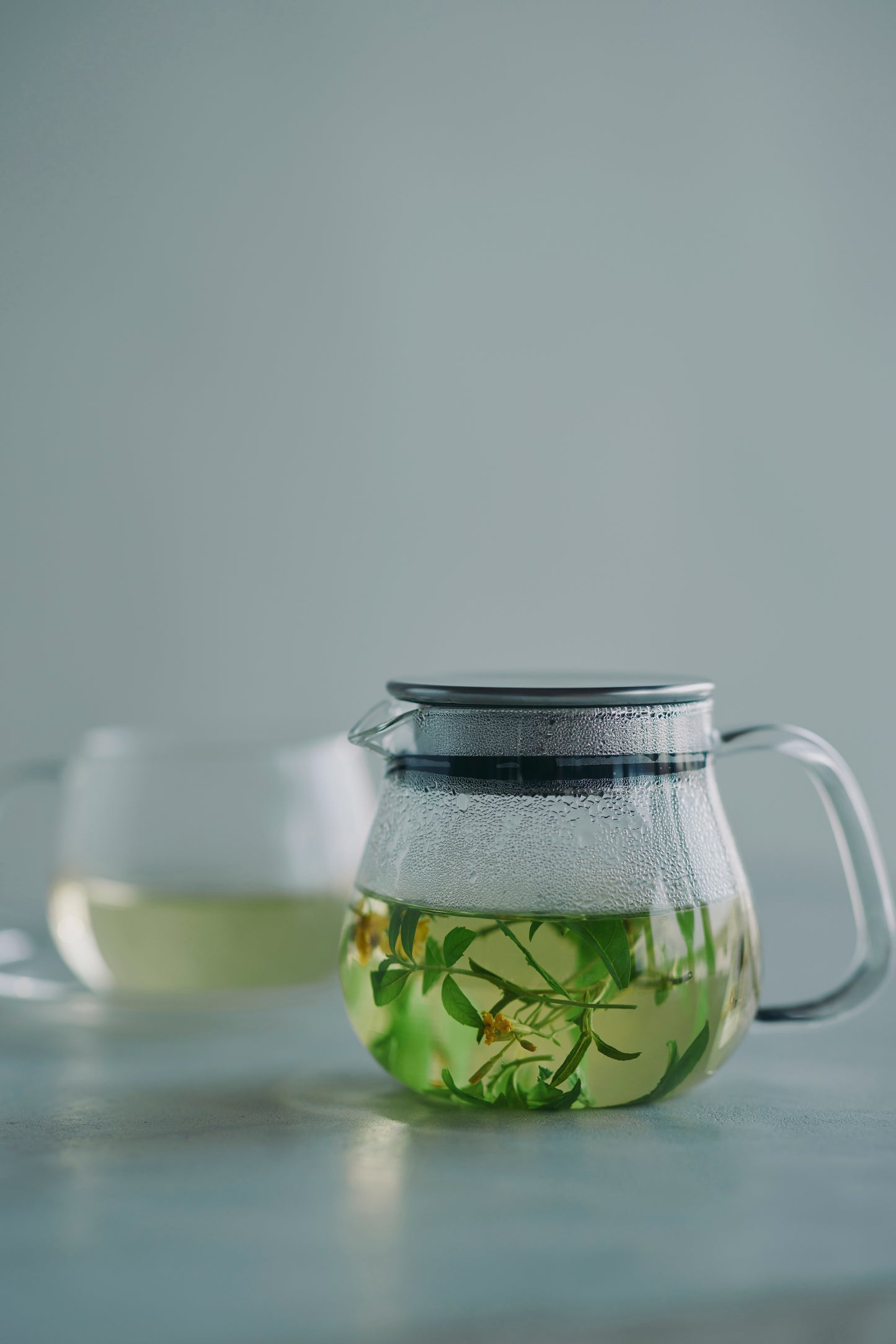 Gohobi x Kinto UNITEA UNITEA One Touch Teapot 460ml/ 720 ml