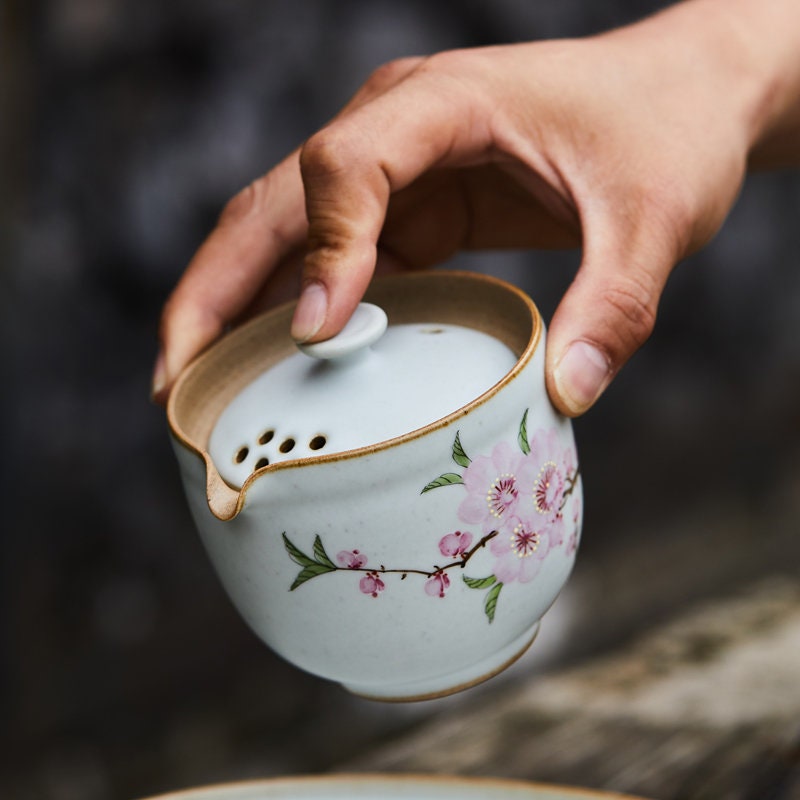 Gohobi Hand painted floral Teapot Ceramic Chinese Gongfu tea Kung fu tea Japanese Chado picnic