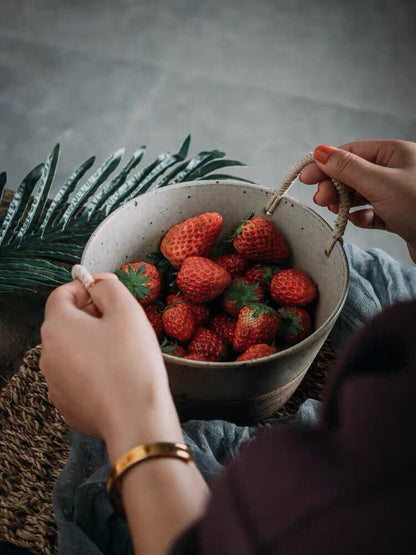 Gohobi Ceramic bowl Japanese style tableware with rattan handle