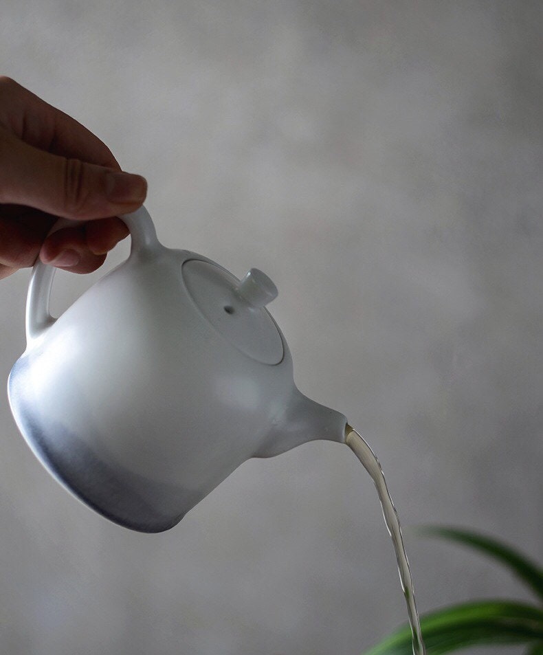 Gohobi Teapot Ceramic Chinese Gongfu tea Kung fu tea Japanese Chado  [Hand-painted Mountain collection]