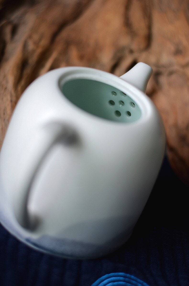 Gohobi Teapot Ceramic Chinese Gongfu tea Kung fu tea Japanese Chado  [Hand-painted Mountain collection]